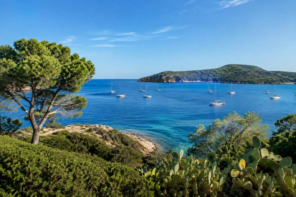 À vendre à Porquerolles : guide immobilier pour acheter sur l’île de Porquerolles